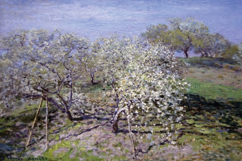 Spring Fruit Tees in Bloom