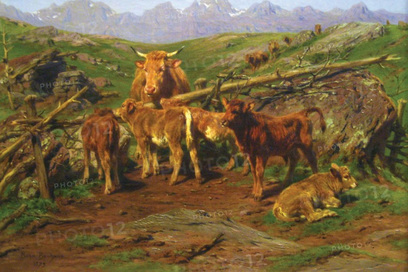Weaning the Calves