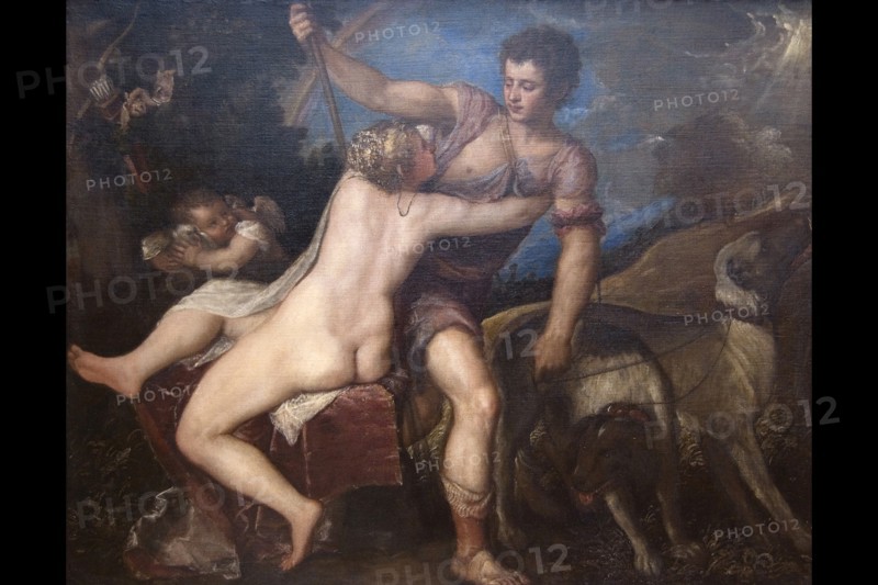 Venus & Adonis