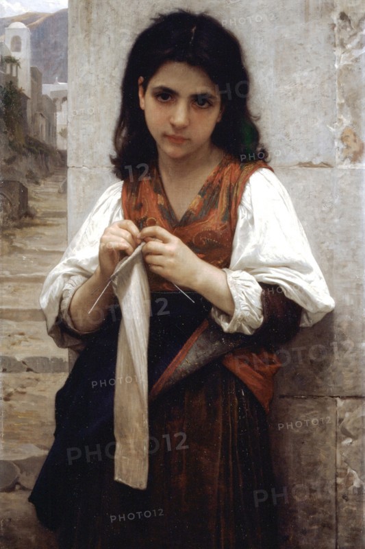 The Little Knitter