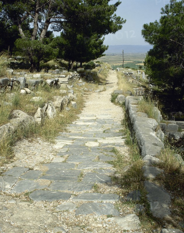 Turkey, Priene. Theater route.