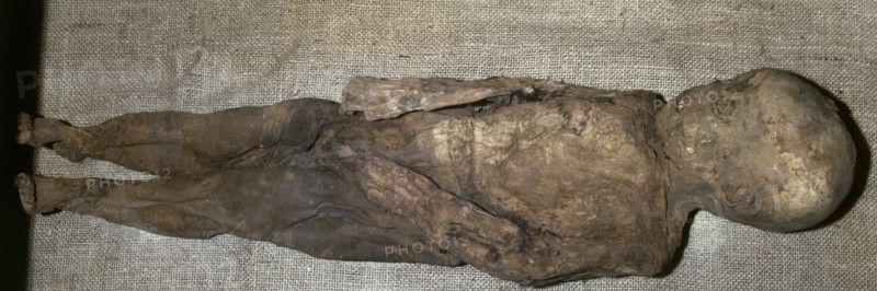 Pre-Inca mummy, Conserved the skin, skull and teeth.