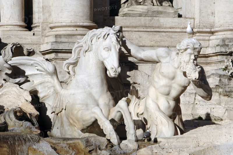 Trevi Fountain. Triton with a sea shell.