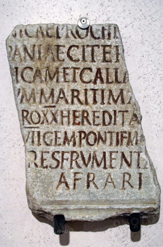 Praefectus annonae. Inscription, base on ancient manuscript, placed for the prefect C. iunius Favianus.