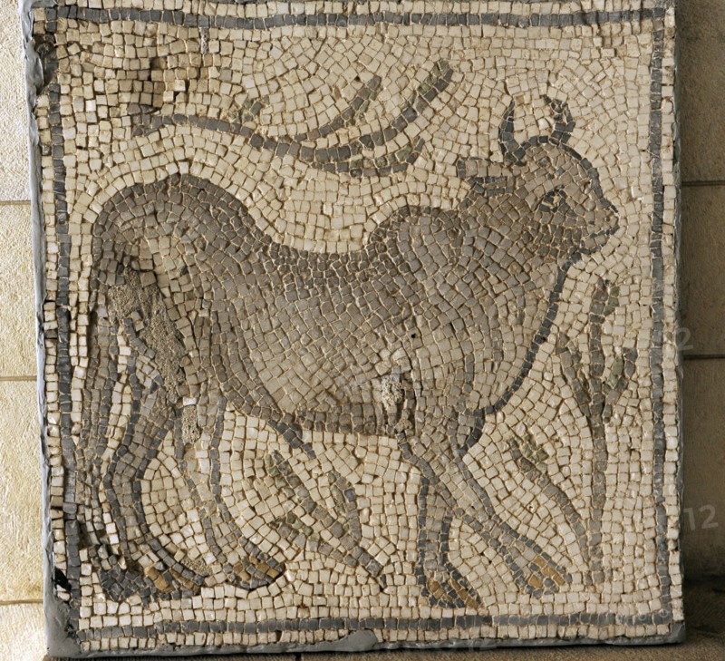 Mosaic, Beit Guvrin.