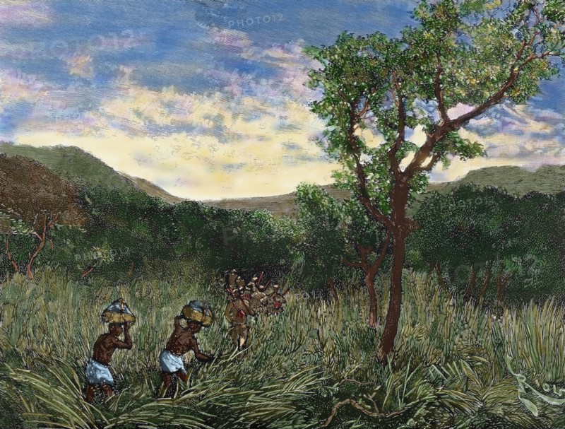 Congo. Expedition of Lieutenant Mizon.
