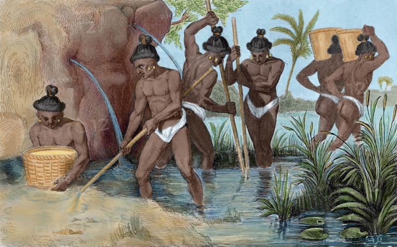Floridians collecting gold.