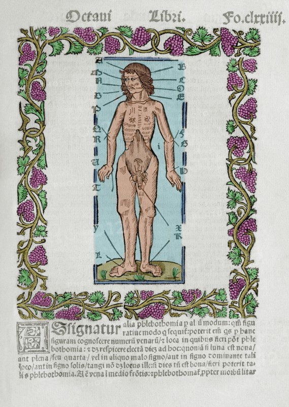The human body and the influence of the stars.