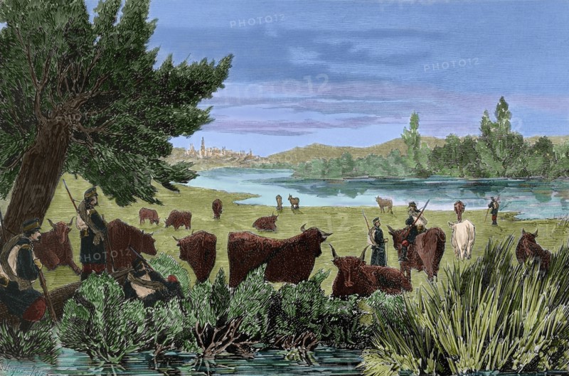 Soldiers guarding the military administration's cattle.