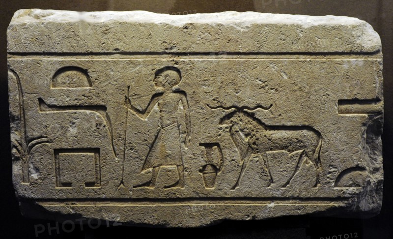 Family tomb of King Khnumhotep royal butler.