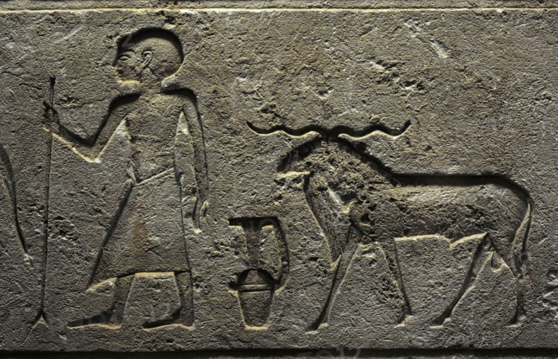 Family tomb of King Khnumhotep royal butler.