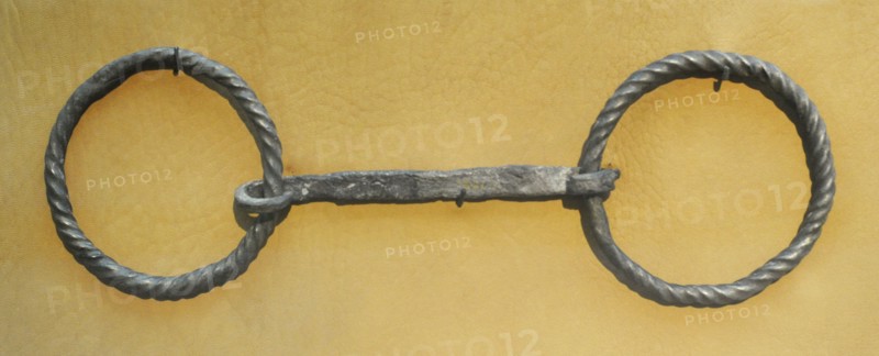 Bit from a bridle of horse.