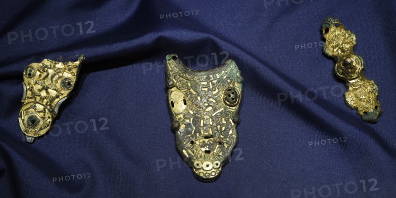 Brooch Fragment.