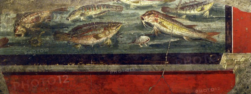 Marine bottom with fish (red mullet, sea bass and mullet) and seafood.