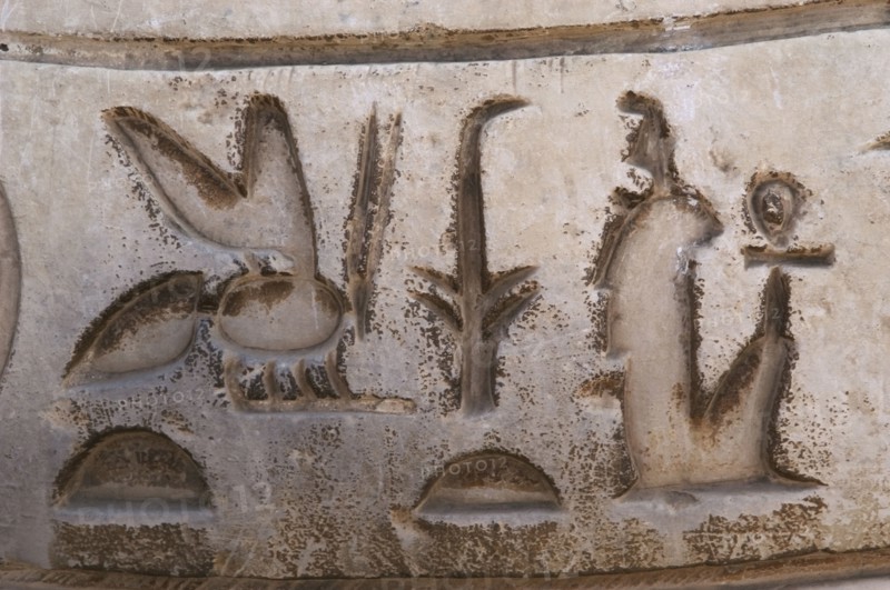 Hieroglyphic writing.