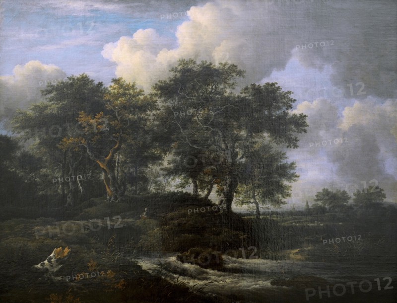 Jacob Isaacksz van Ruisdael.