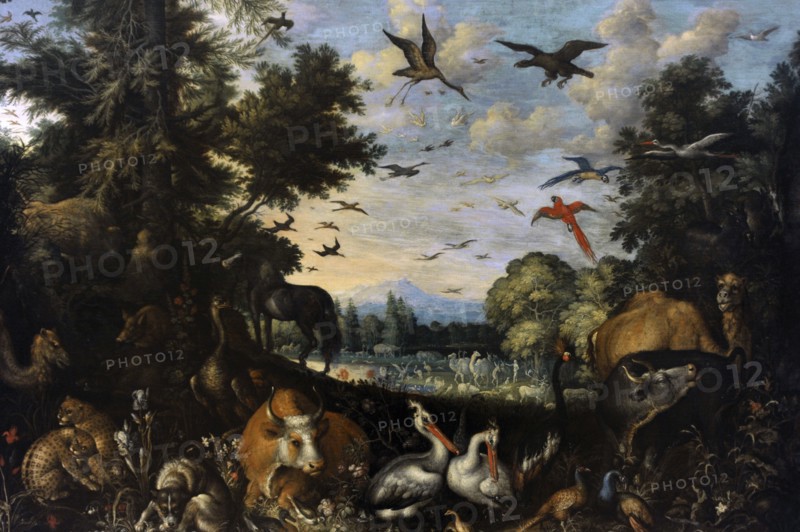 The Garden of Eden.
