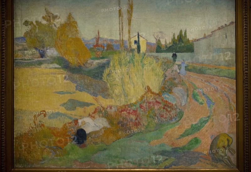 Landscape from Arles.