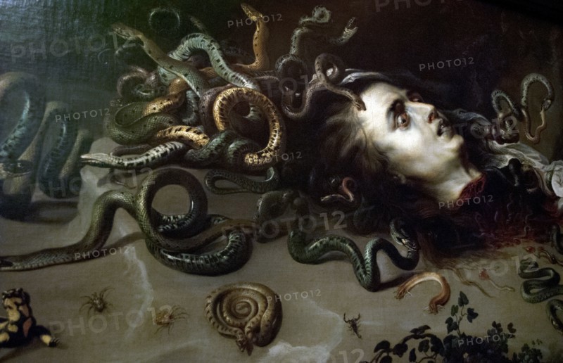 The Head of Medusa.