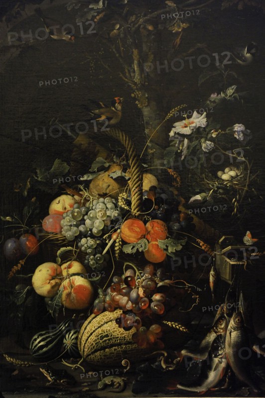 Fruit.