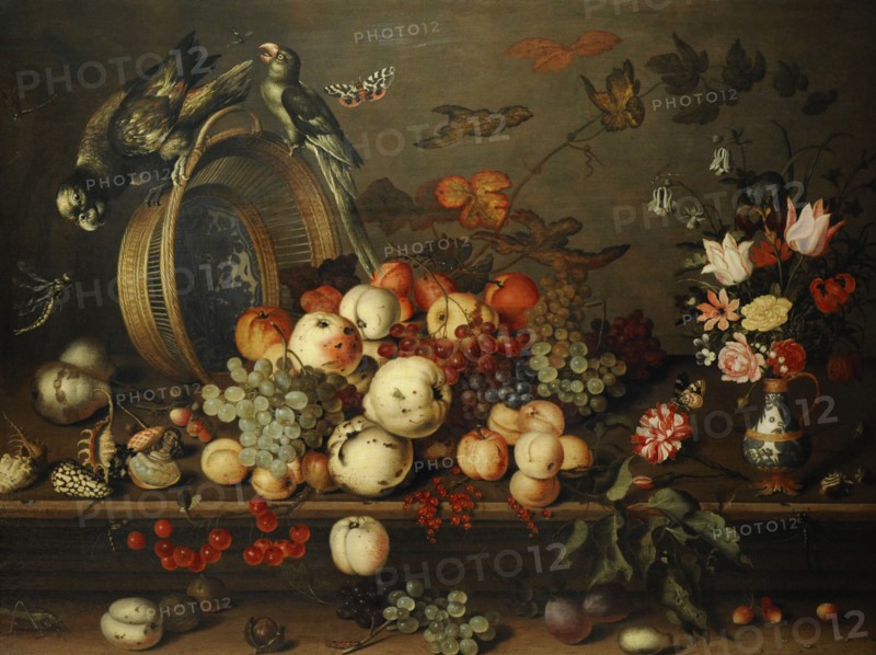 Still Life with Fruits, Shells and Insects.