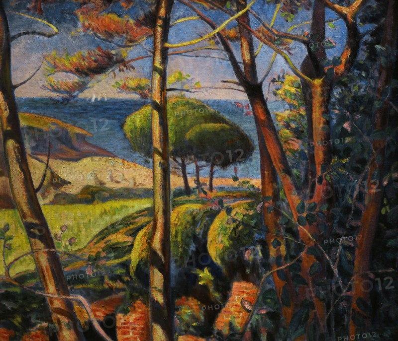 Landscape in Full Sun.