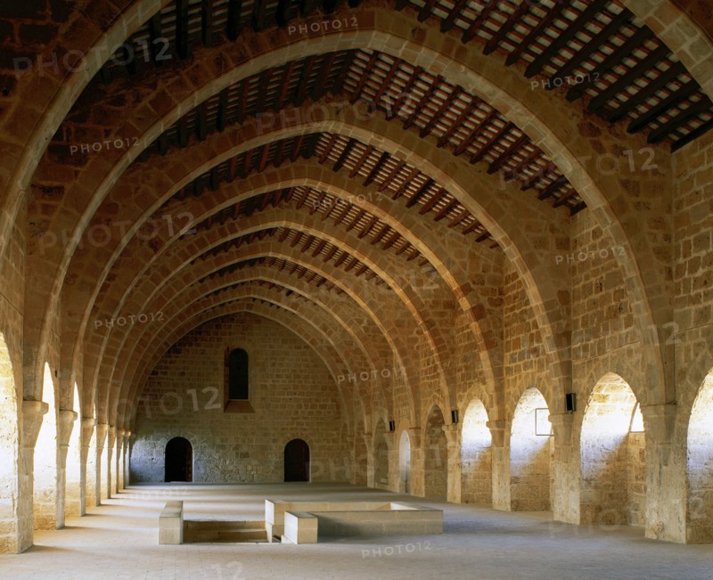 Monastery of Santa Maria de Santes Creus. Cistercian. Dormitory, 1191. Catalonia. Spain.
