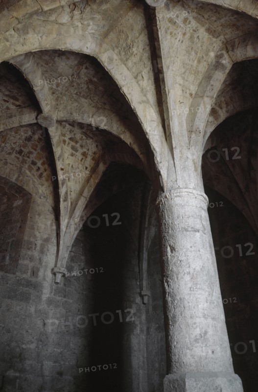 France. Aude. Castle of Queribus. Gothic room. Dome. 15th century.