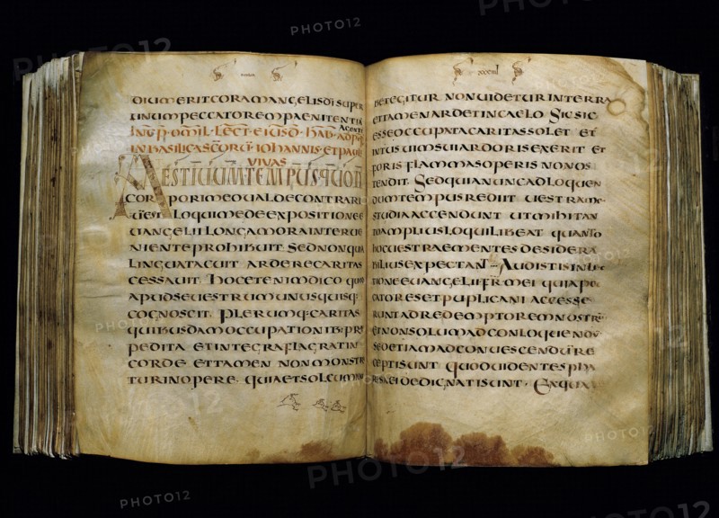 Pope Gregory I (540-604). Manuscript on parchment. Text Gregory I (homilies) Uncial script. From Merovingian Gaul. 7th c.