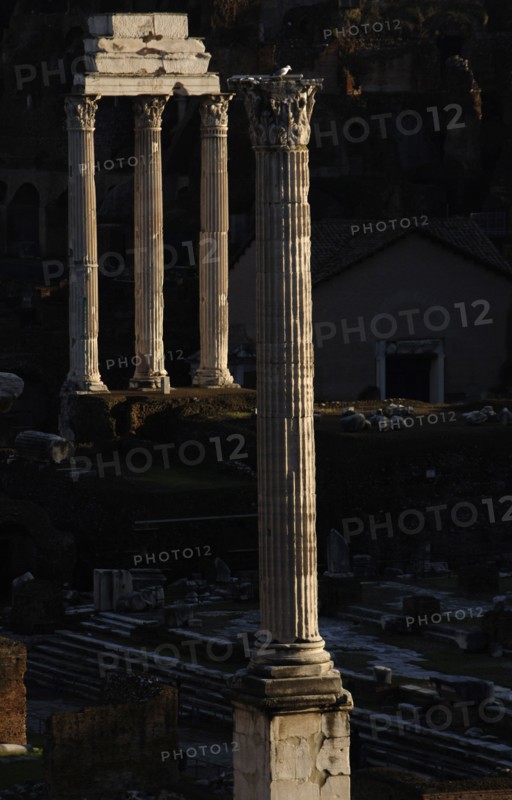 Column of Phocas, and Temple of Castor and Pollux.