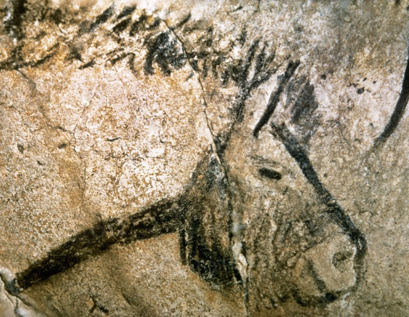 Cave of Niaux. Prehistoric painting. Horse head. France.
