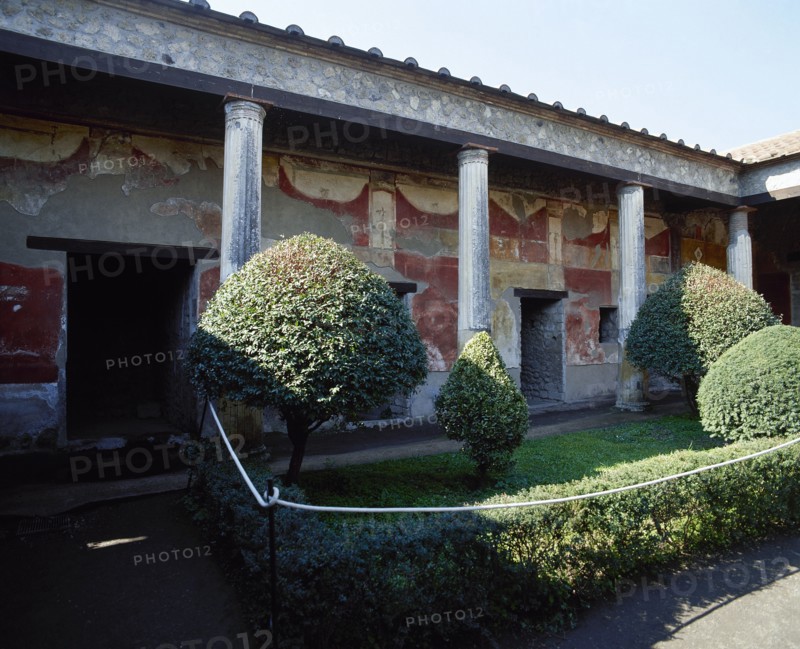 House of Venus in Shell.