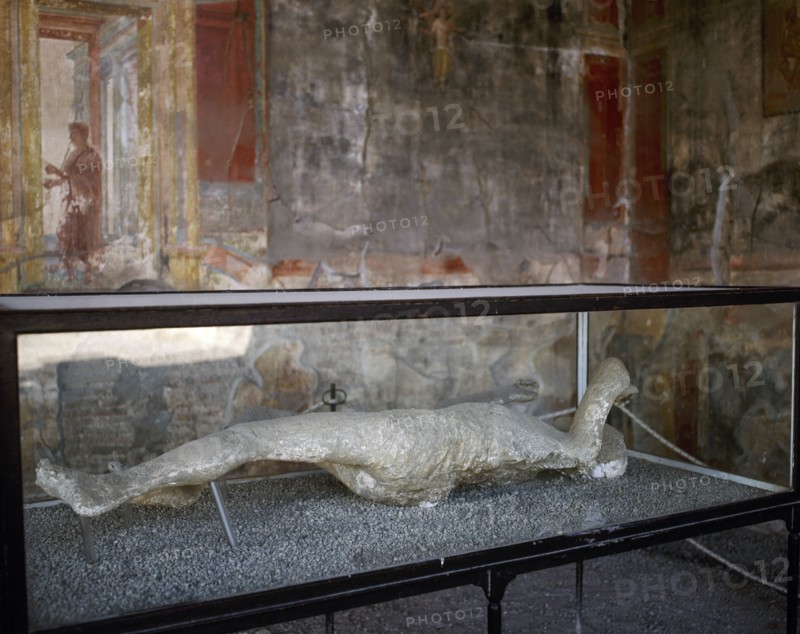 Plaster casts of victims' bodies.