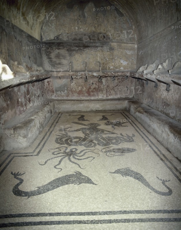 Thermal baths. Female tepidarium.