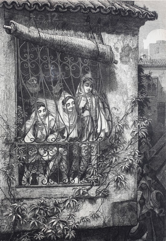 Rich jewish girls in Tunis