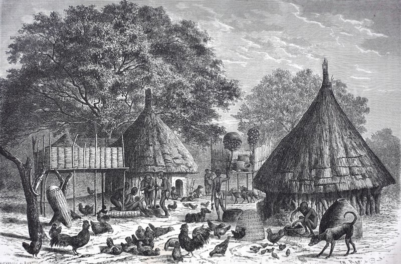 Village of the Diour tribe