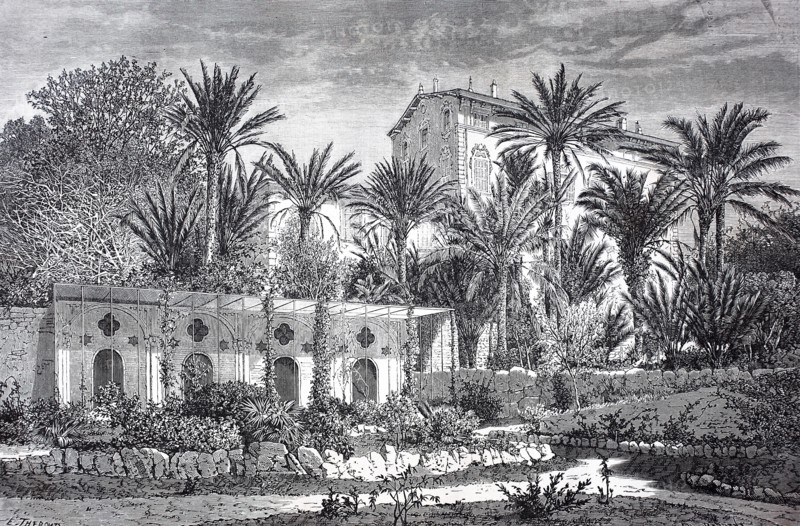 the Moreno garden