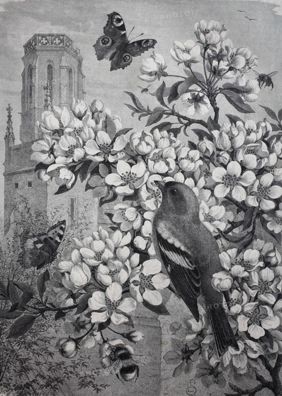 symbolic images for spring