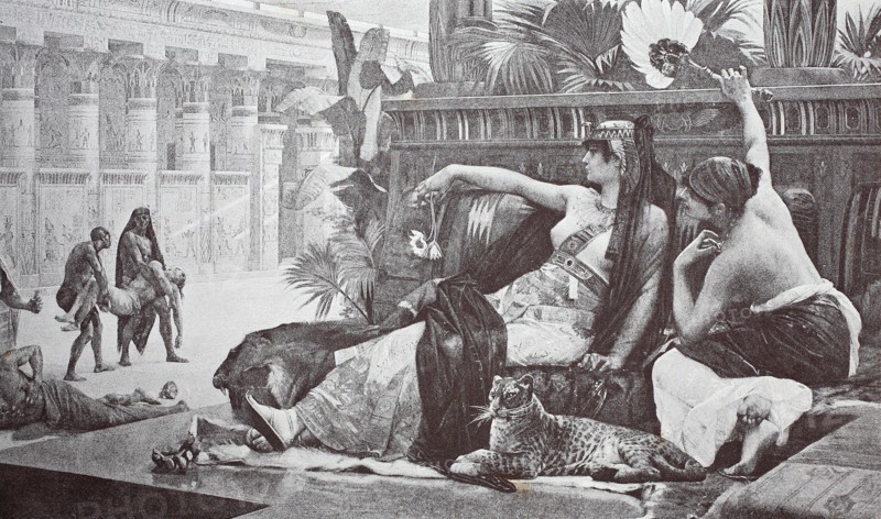 Cleopatra VII Philopator was the last active ruler of the Ptolemaic Kingdom of Egypt