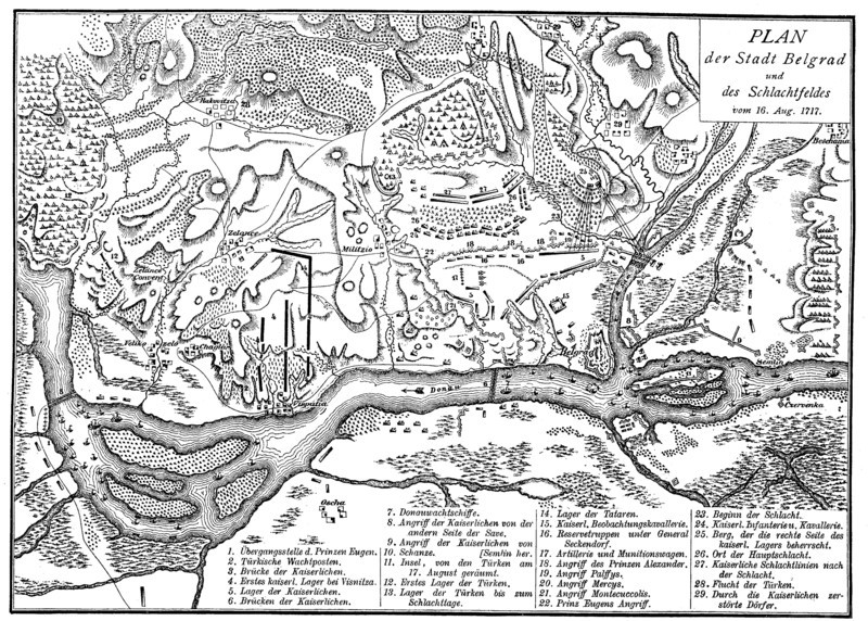 Map of the Battle of Belgrade on August 16