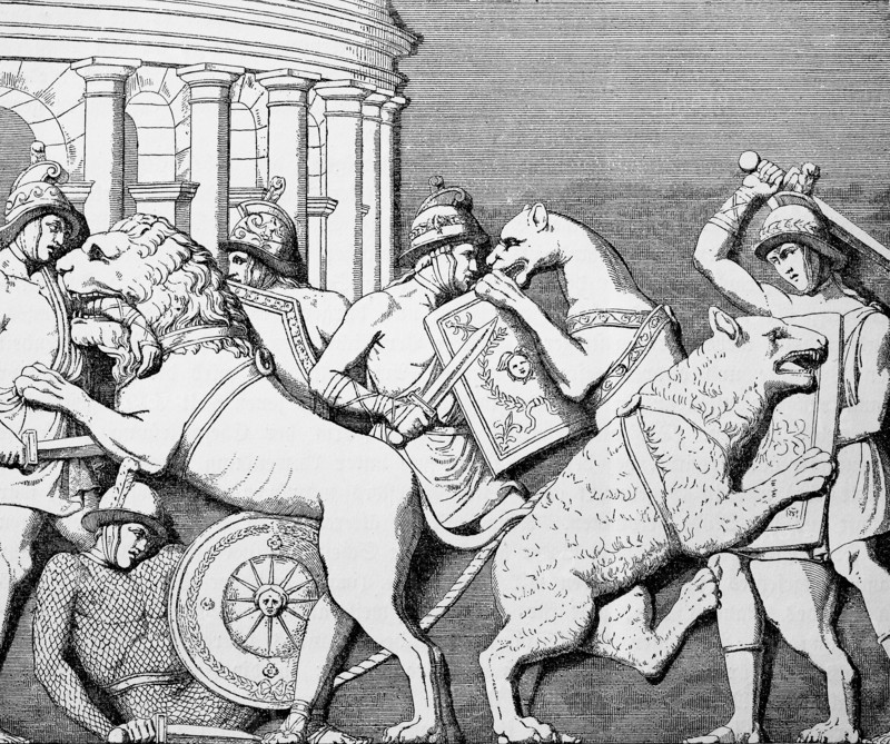 Animal fights of the gladiators in the circus in the theatre of Marcellus