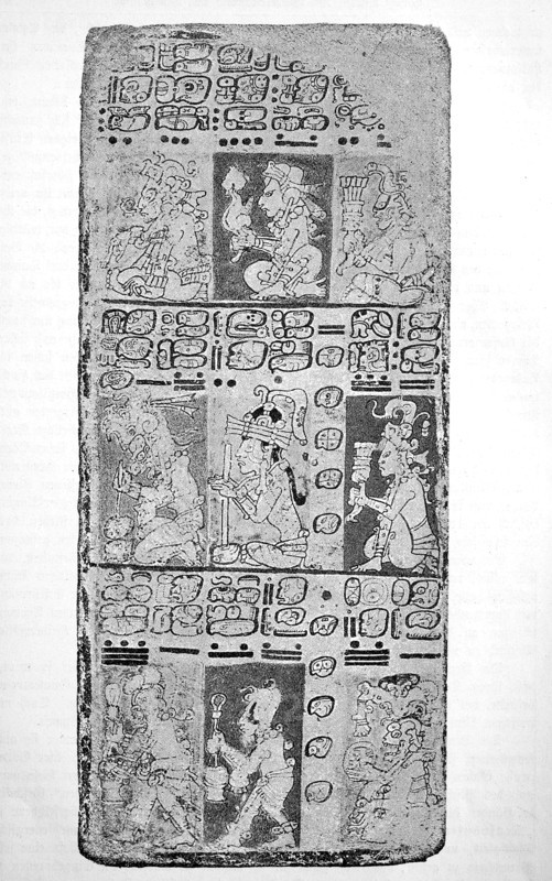 a page from a Maya manuscript