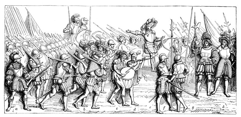 The troops of Francis I of France