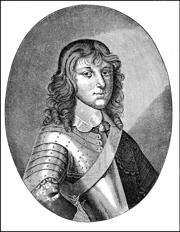 Youth portrait of Louis XIV