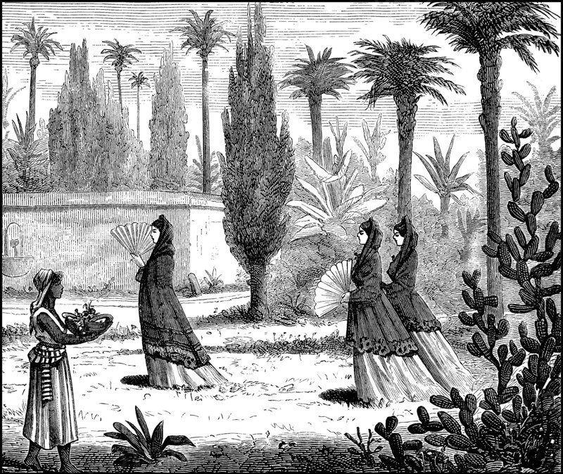great ladies in a garden in Mexico