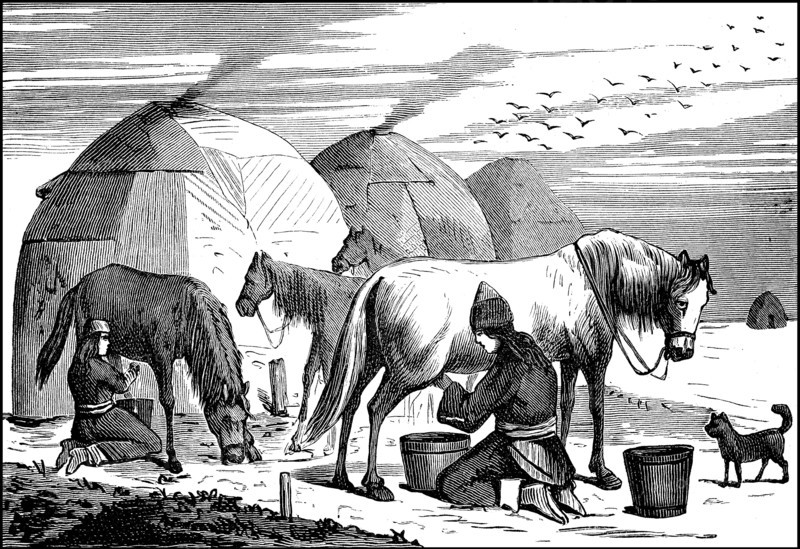 Woman farmer from Kyrgyzstan