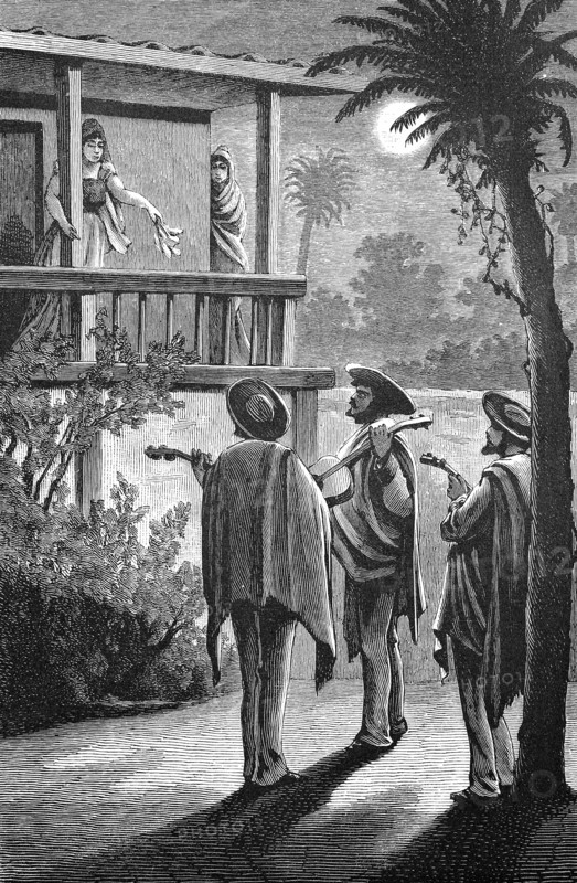 Garden scene