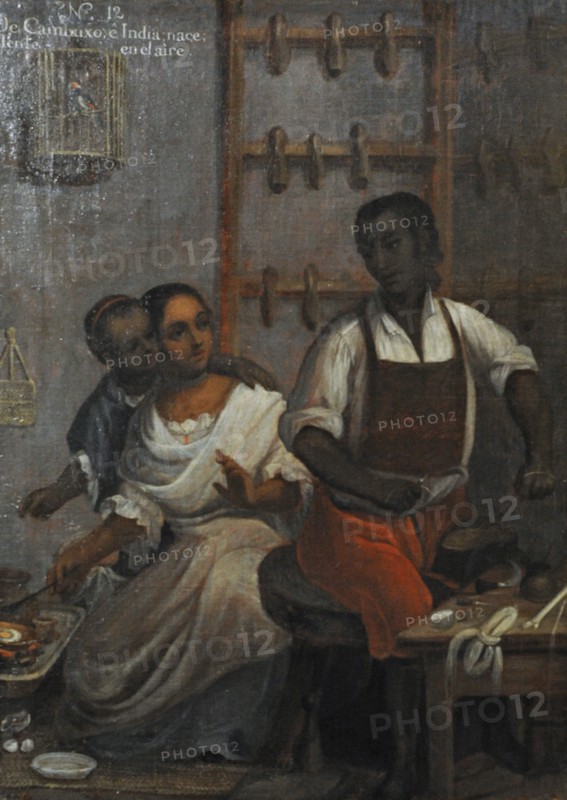 Andres de Islas, Castas, No12