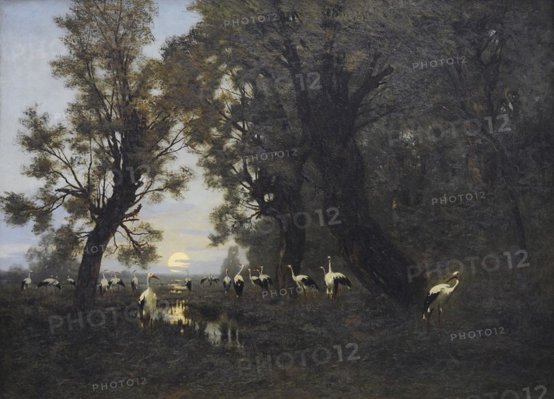 Wladyslaw Malecki, A Gathering of Storks, 1879
