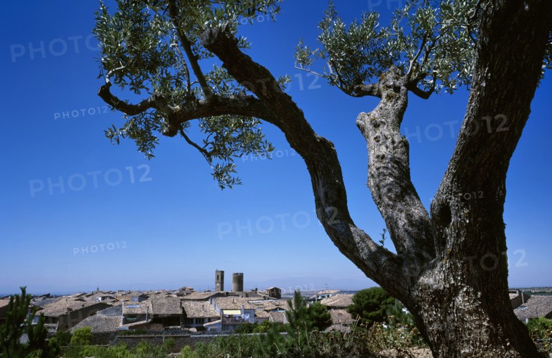 General view of the village, Spain, Verdu